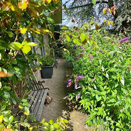 De Biejebosj Апартаменты