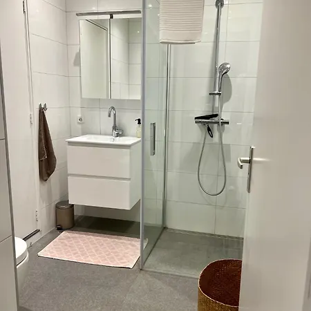 Apartman De Biejebosj *